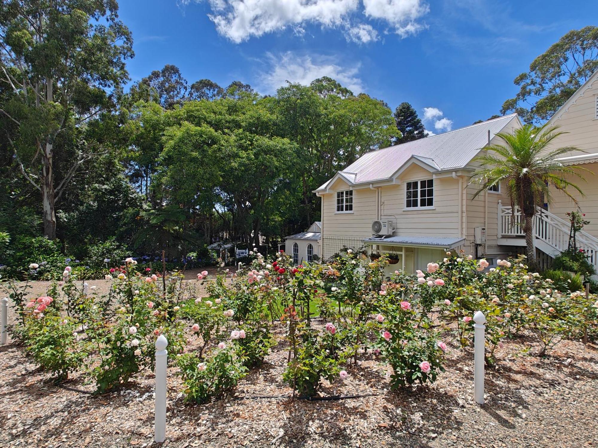 Wintergreen Manor At Maleny Exteriör bild